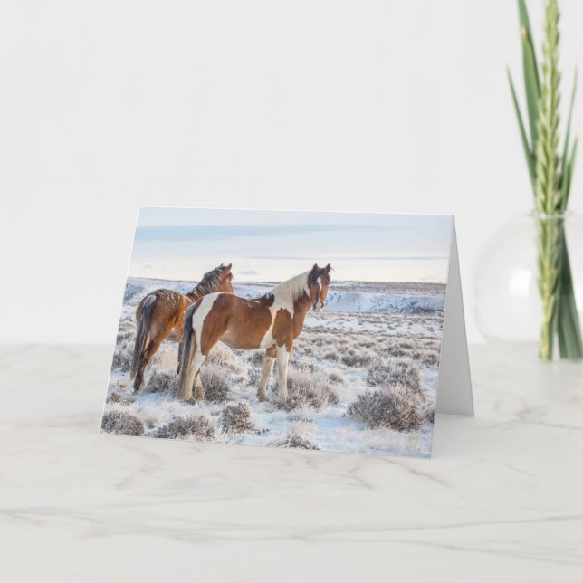 Carte de jour férié "Aube gelée" (Devant)