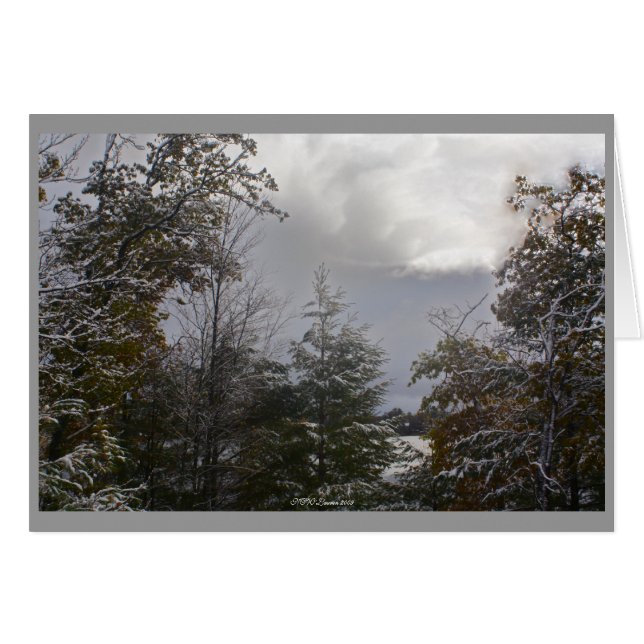 Carte de jour gris (Devant horizontal)