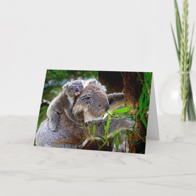 Carte de jour Koala et Joey Mothers (Devant)