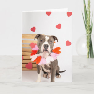 Carte de jour Valentines