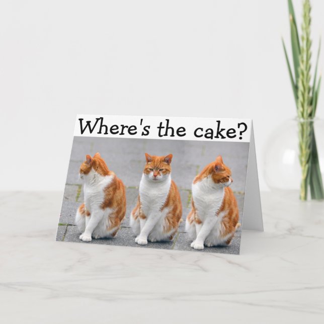 Carte de joyeux anniversaire avec le chat triple (Devant)