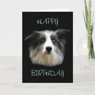 Carte de joyeux anniversaire de border collie