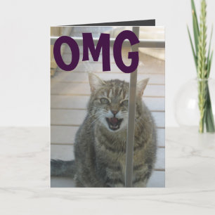 carte de joyeux anniversaire de chat d'omg