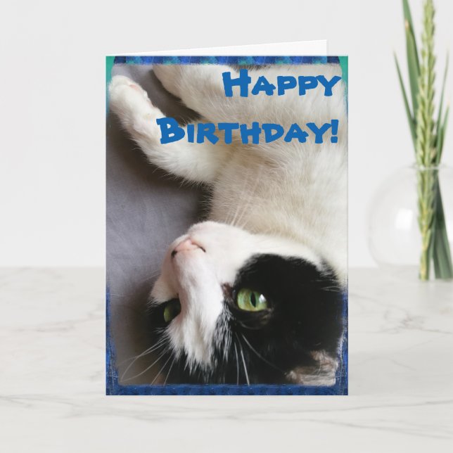 Carte de joyeux anniversaire de photo de chat (Devant)
