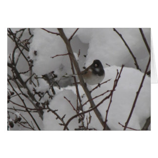 Carte de Junko d'hiver