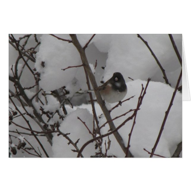 Carte de Junko d'hiver (Devant Horizontal)