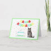 De la bannière d'anniversaire du chat et de la car