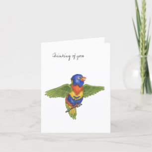 Carte de la collection Budgie