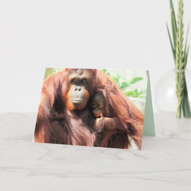 Carte de la fête des mères Orang-outan pouce en l' (Devant)