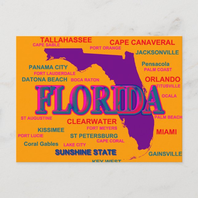 Carte de la Fierté d'État de Floride Silhouette (Devant)