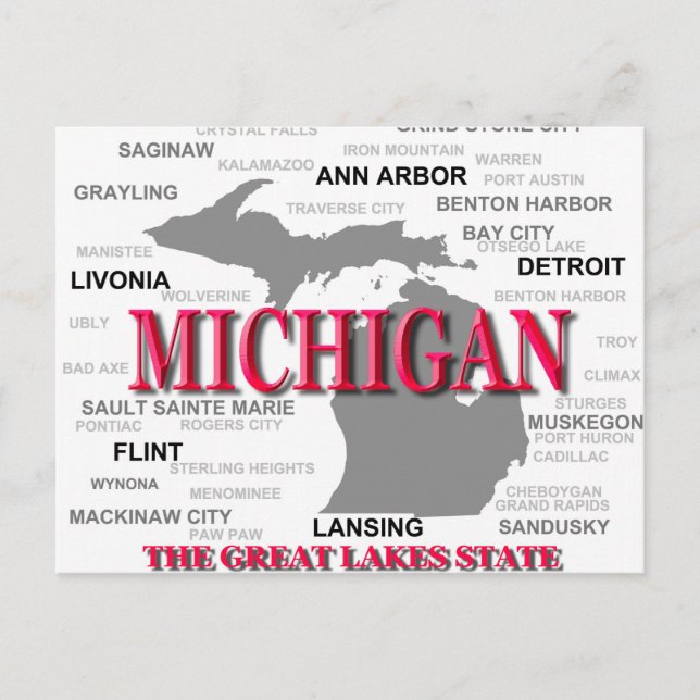 Carte de la fierté d'état du Michigan Silhouette (Devant)