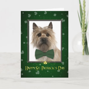 Carte de la journée Cairn Terrier St. Patrick