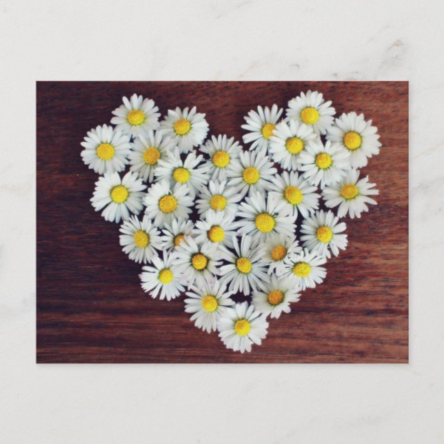 Carte de la marguerite cœur de marguerites d'amour (Devant)