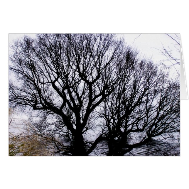 Carte de la nature hivernale (Devant horizontal)