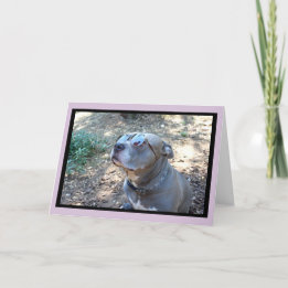 Carte de la Saint-Valentin à Hollywood