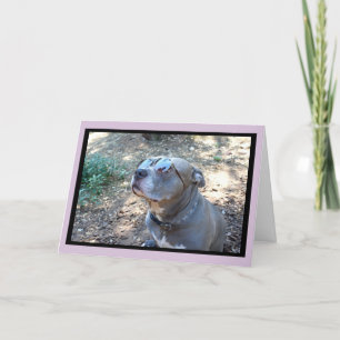 Carte de la Saint-Valentin à Hollywood