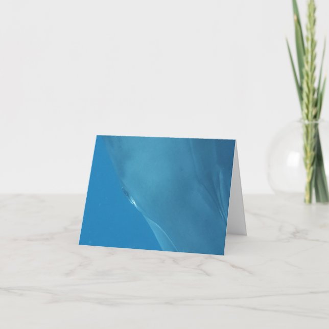 Carte de la Saint-Valentin avec œil de baleine (Devant)