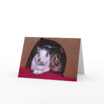 Carte de la Saint Valentin BunnyLuv (d'elle)