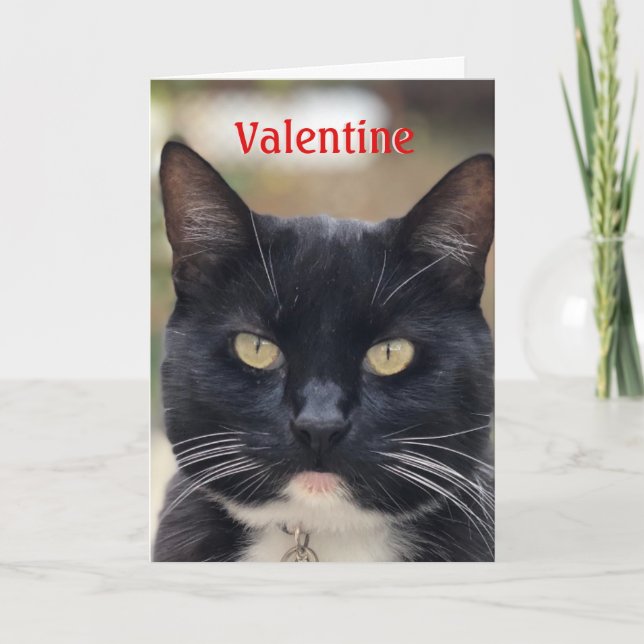 Carte de la Saint-Valentin de Cat Valentine (Devant)