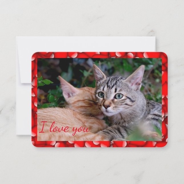 Carte de la Saint-Valentin pour chat mignon (Devant)