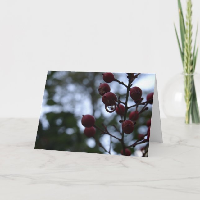 Carte de la Sympathie chrétienne Psalm Bible Verse (Devant)