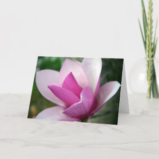 carte de la tulipe 001