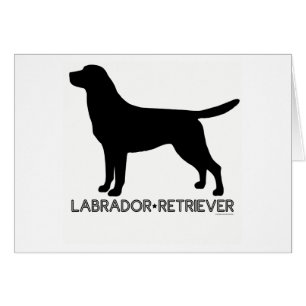 Carte de labrador retriever