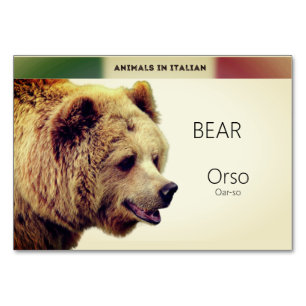 Carte de langue italienne Ours Animal Flash Cart