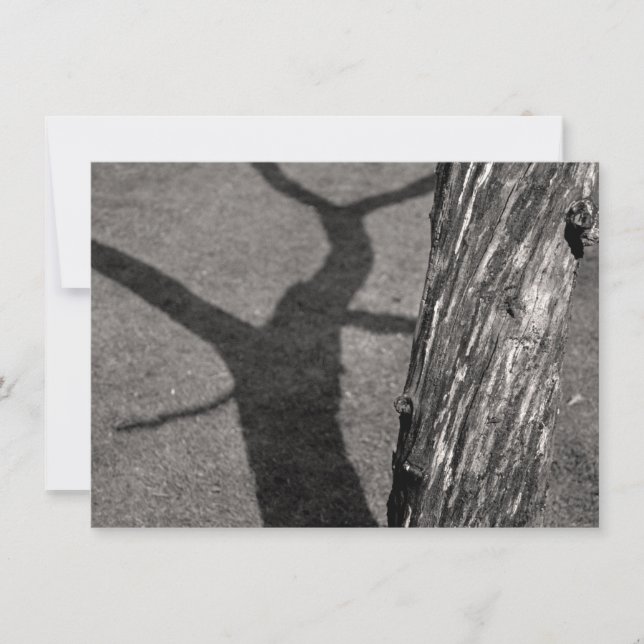 Carte de l'arbre mort (Devant)