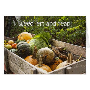 Carte de légumes de jardin