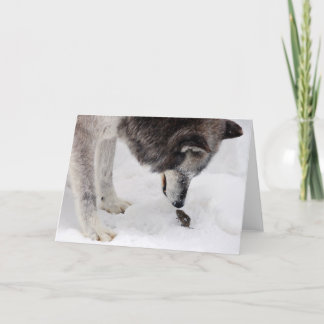 Carte de loup et de souris