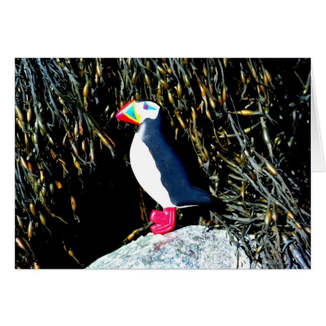 Carte de macareux de l'Atlantique (Devant horizontal)