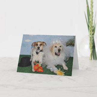 Carte de mariage, photo de 2 chiens le jour du