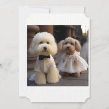 Carte de mariage pour amateur de chiens