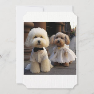 Carte de mariage pour amateur de chiens