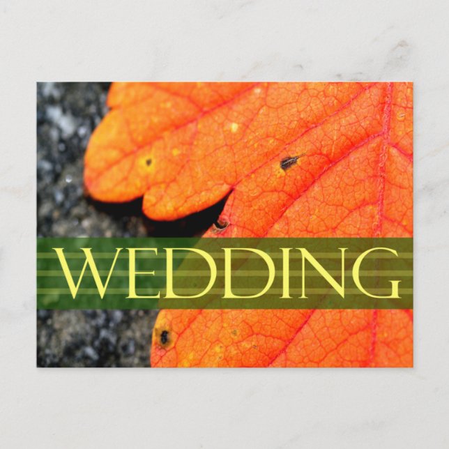 Carte de mariage Save The Date (Devant)