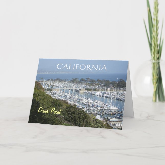 Carte de marina de Dana Point (h) (Devant)