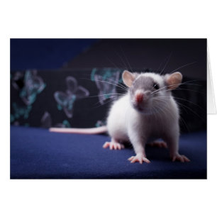 Carte de mauvais poil