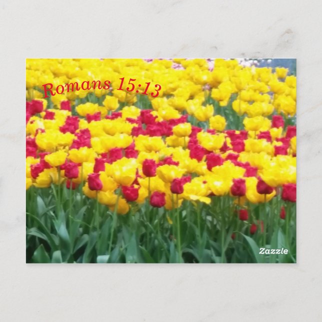 Carte de méditation des Écritures Romains 15:13 (Dos)