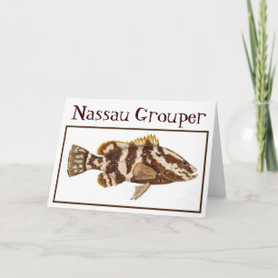 Carte de mérou de Nassau