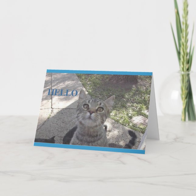 Carte de minou de Mlle You (Devant)