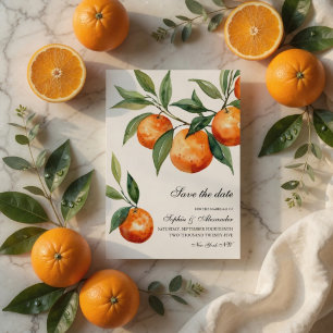 Carte de mise en garde Citrus   Orange Méditerrané