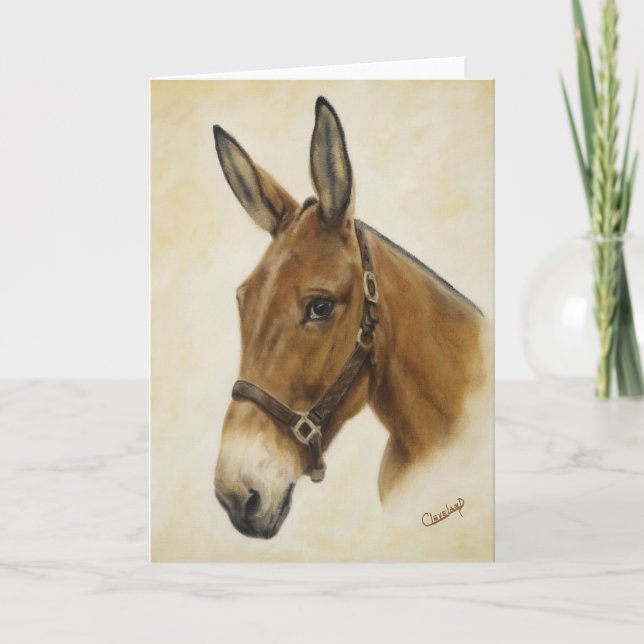 Carte de mule (Devant)