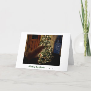 Carte de Noël
