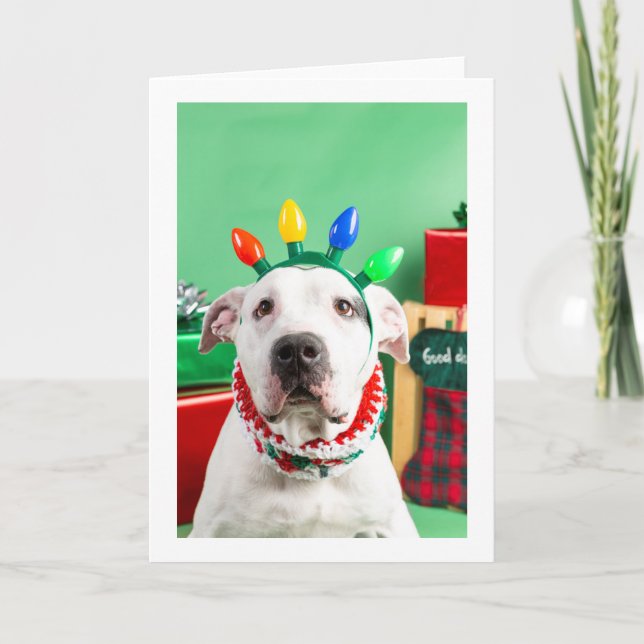 Carte de Noël (Devant)