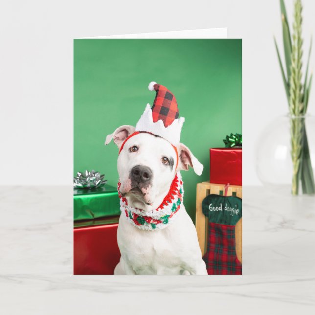 Carte de Noël (Devant)