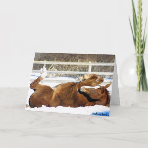 Carte de Noël 2005 OMRH Mention honorable