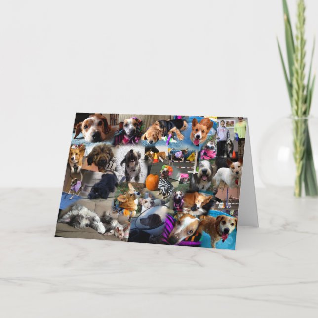 Carte de Noël 2013 (Devant)