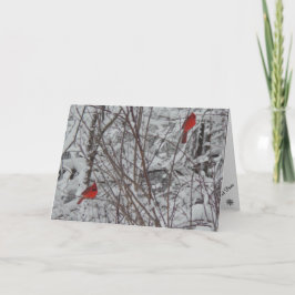 Carte de Noël 2 Cardinaux 5x7