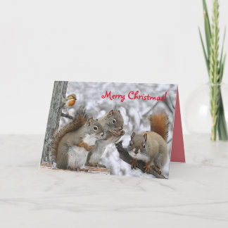 Carte de Noël 7 x 5" avec M. Bickles